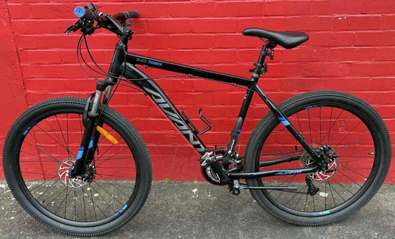 AVANTI Black Thunder 1 Bicycle Carousel 1