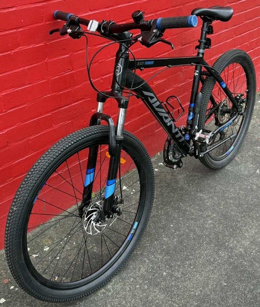 AVANTI Black Thunder 1 Bicycle Carousel 2