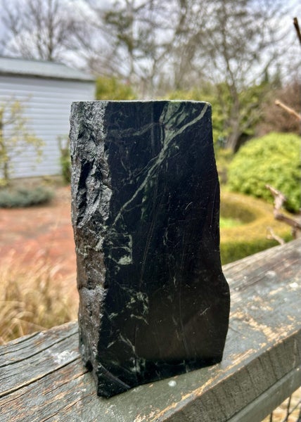 Pounamu Carousel 2
