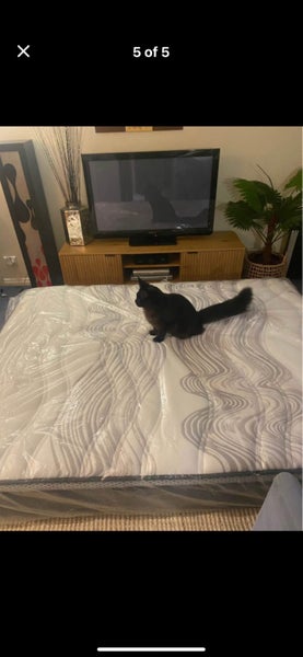 Slumberzone Double Queen Enchantor Mattress:63615602068994111