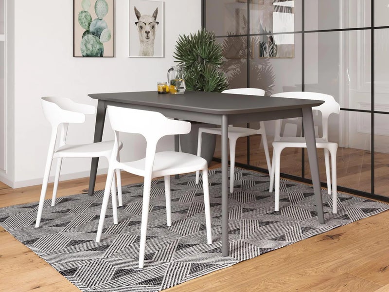 Dining Chair Carousel 1