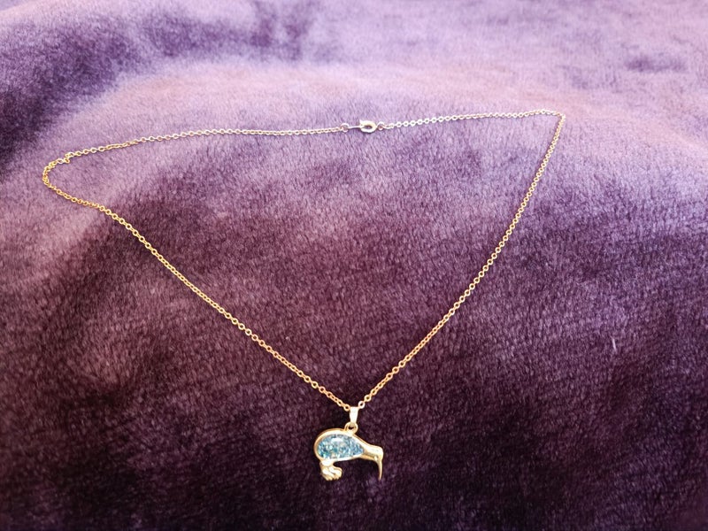 Kiwi bird genuine NZ paua shell necklace Carousel 2