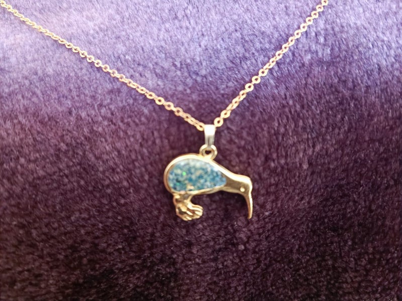 Kiwi bird genuine NZ paua shell necklace Carousel 1