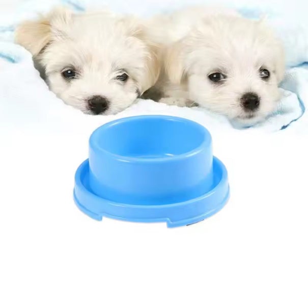 Anti-Ant Pet Food Bowl – Durable Plastic Spill-Proof – Green Carousel 2