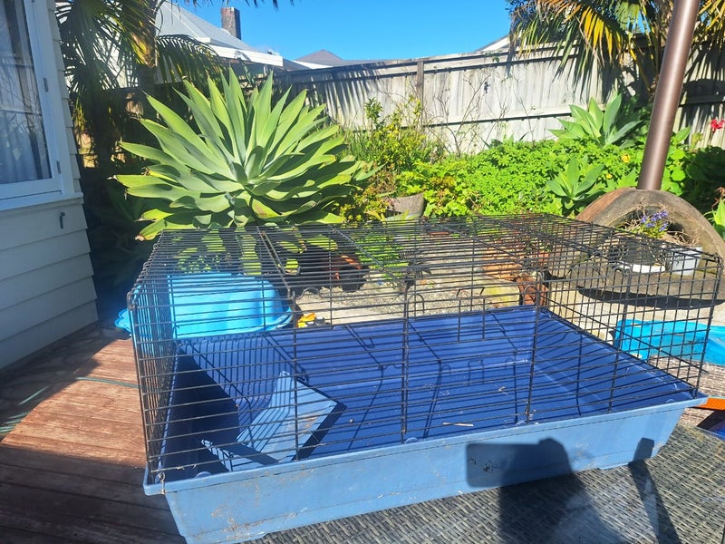 Rabbit / Guinea Pig Cage and Accessories Carousel 1