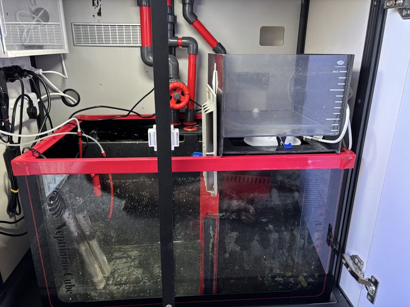 Neptunian M90 Aquarium Carousel 2