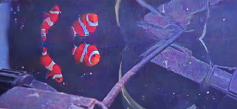 750 L Marine Tank Carousel 1