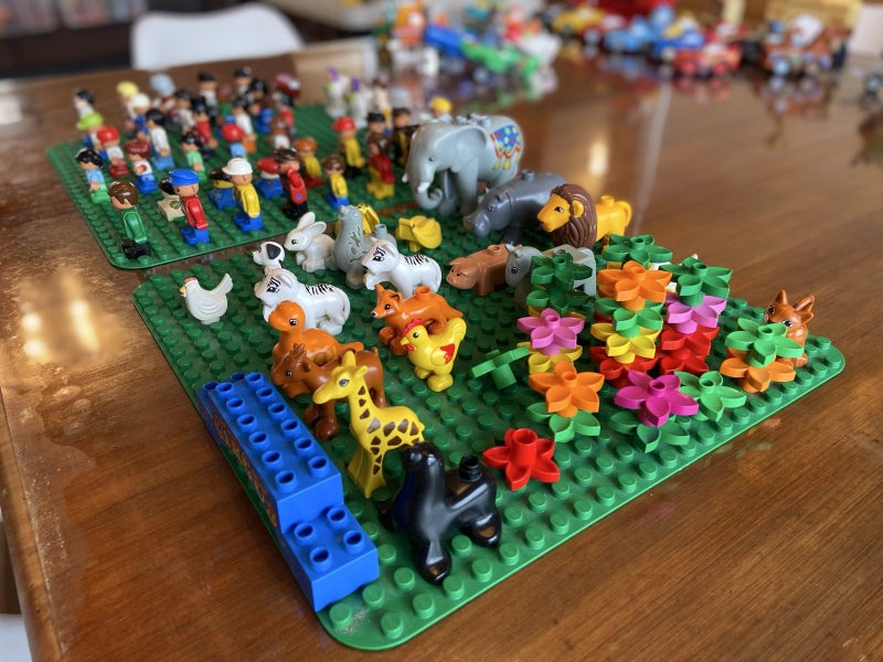 Duplo Collection Carousel 6