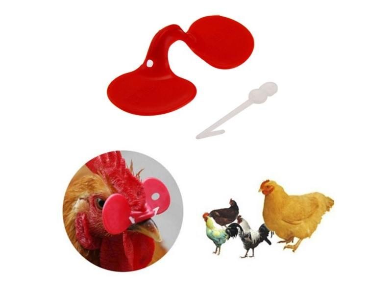 60 Pieces Pinless Chicken Hen Rooster Anti-Pecking Eyes Glasses With Bolt Carousel 1