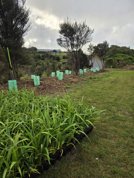 Native Planting Landscaping & Property Maintenance Carousel 1