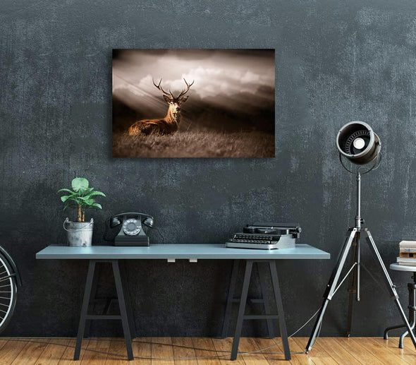 Framed $1 RESERVE 1 Panel Canvas Art Print - Stag in the sunlight Carousel 3