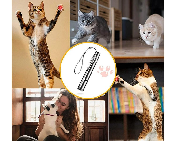UV Torch Light Flashlight Cat Toy Carousel 9
