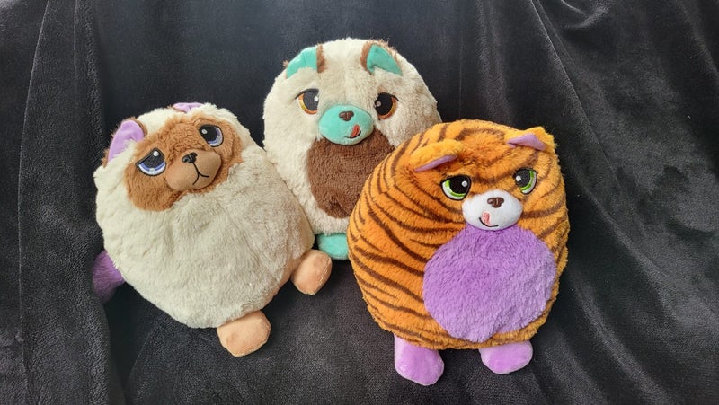 Misfittens Get Meowt assorted Carousel 1