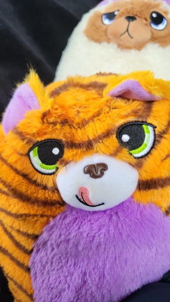 Misfittens Get Meowt assorted Carousel 11