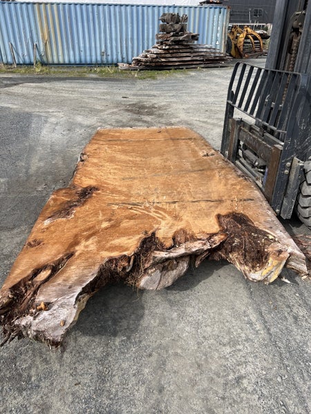 Rare 4m Ancient Swamp Kauri Slab – Table/Furniture63819138971266112