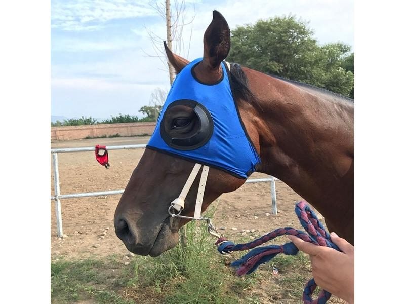 Harness Supplies Harness Cover Windproof Eye Mask Speed Race Goggles Mesh Mask Carousel 1