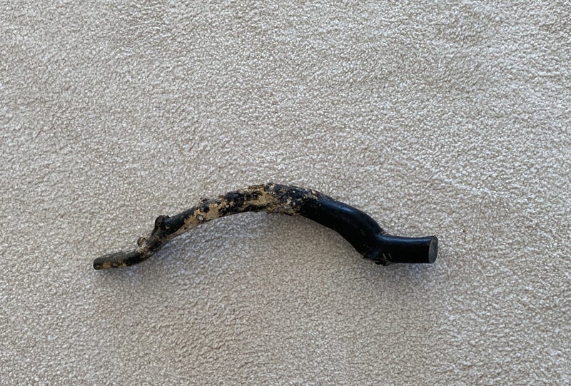 black coral Carousel 1