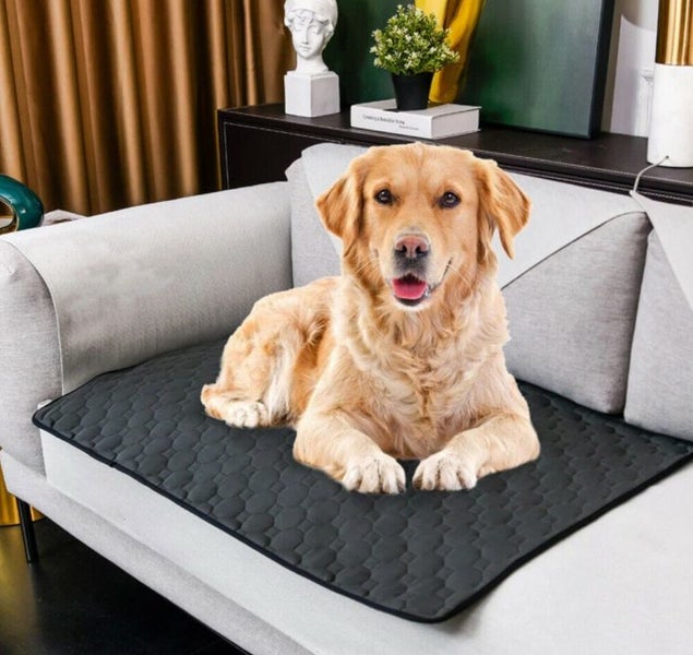 Pet Training Pad Perfect for Housebreaking and Training Your Pets Carousel 1