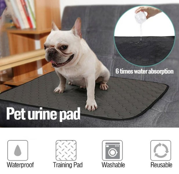 Pet Training Pad Perfect for Housebreaking and Training Your Pets Carousel 2