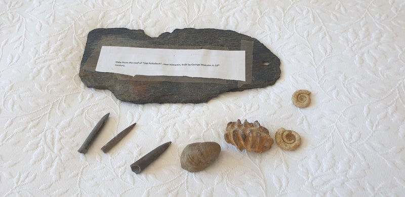 Bulk Collection of Fossils and Other Bits Carousel 1