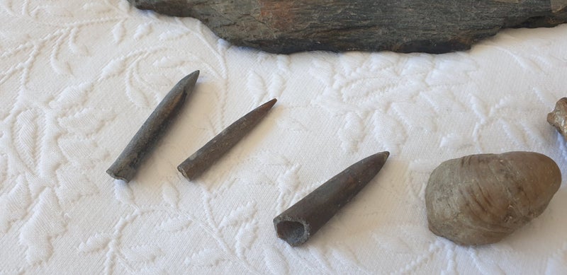 Bulk Collection of Fossils and Other Bits Carousel 2