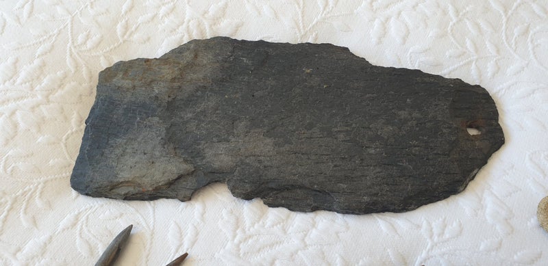 Bulk Collection of Fossils and Other Bits Carousel 5