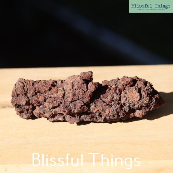 Fossil Poo (TMz282) Carousel 2