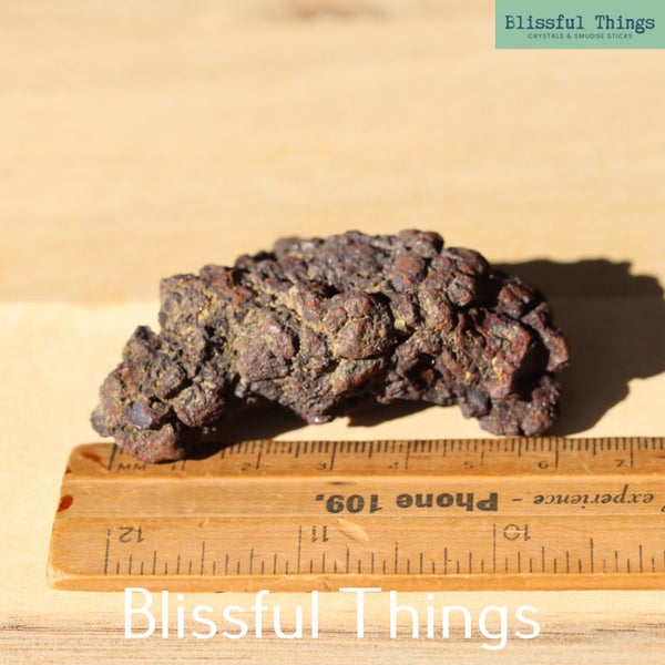 Fossil Poo (TMz283) Carousel 2