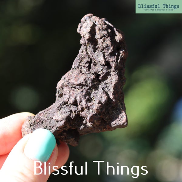 Fossil Poo (TMz283) Carousel 5