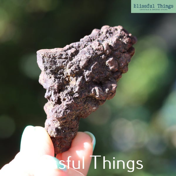 Fossil Poo (TMz283) Carousel 1