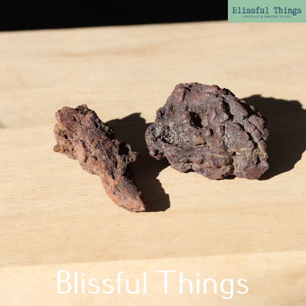 Fossil Poo x2 (TMz286) Carousel 1