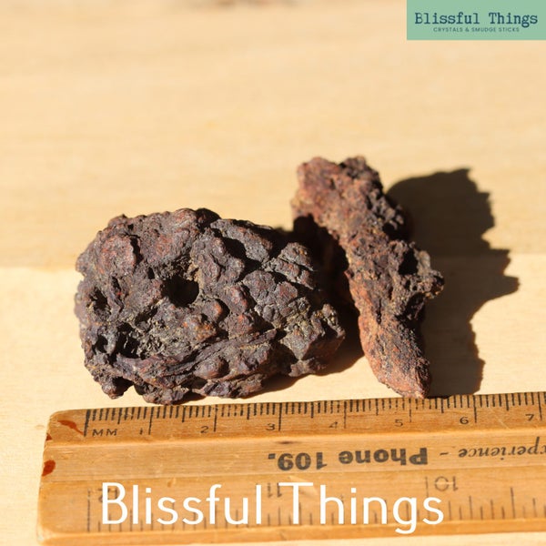 Fossil Poo x2 (TMz286) Carousel 6