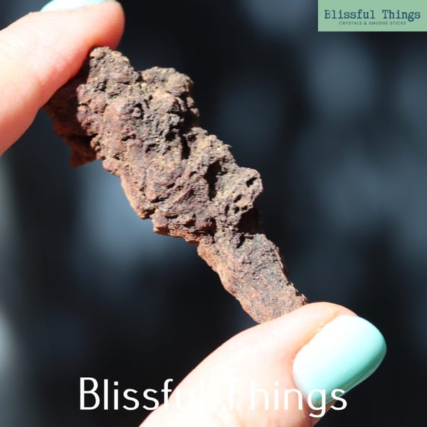 Fossil Poo x2 (TMz286) Carousel 2