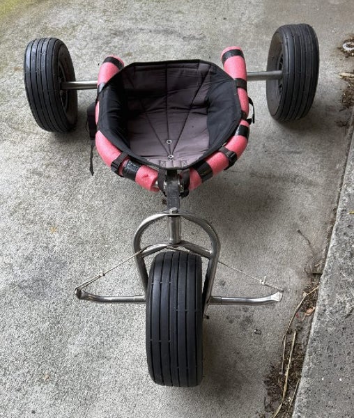 Peter Lynn Kite Buggy Carousel 1