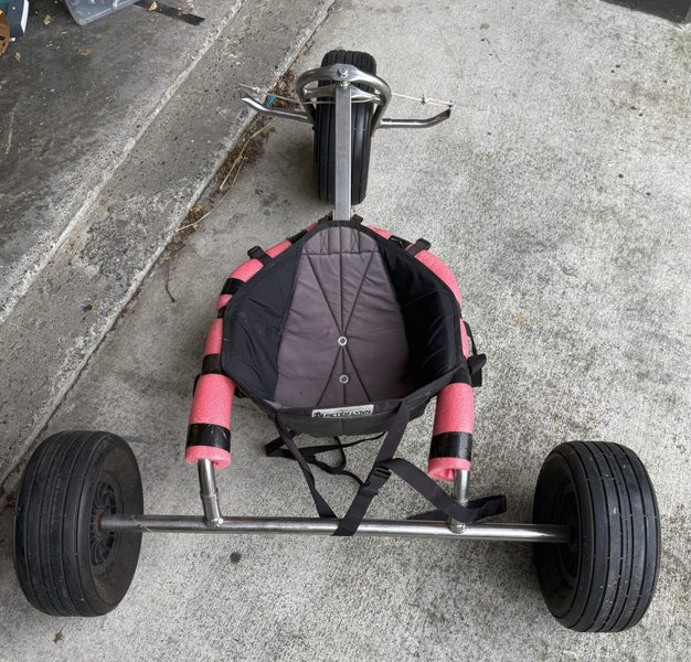 Peter Lynn Kite Buggy Carousel 3