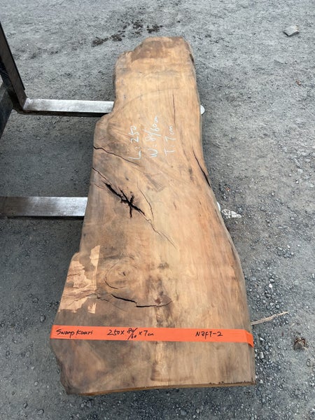 2.5m × 0.8m Ancient Swamp Kauri Slab – Bartop / Hall Table / Woodworking Carousel 1