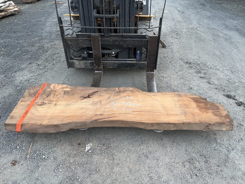 2.5m × 0.8m Ancient Swamp Kauri Slab – Bartop / Hall Table / Woodworking Carousel 2