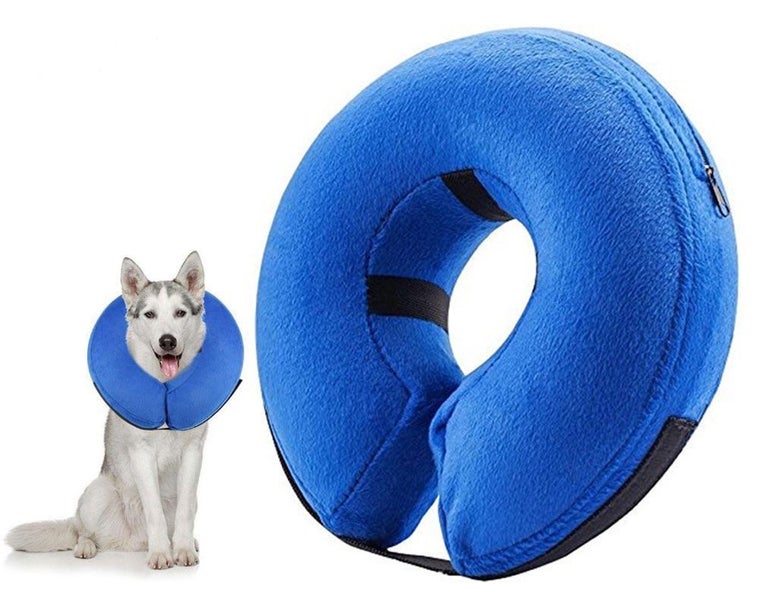 NEW Dog Collar - New Carousel 1