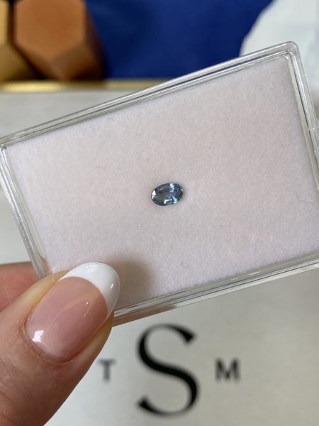 $1 RES ~ $1790 Buy Now * 0.59ct Blue Sapphire Carousel 8