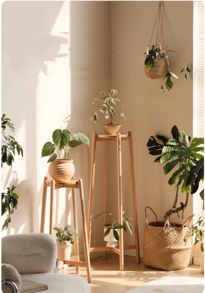 Berlin Solid Oak Plant Stand- Large Carousel 2