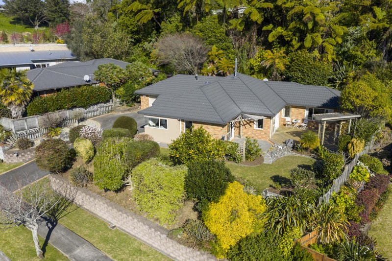 Image 1 of 40