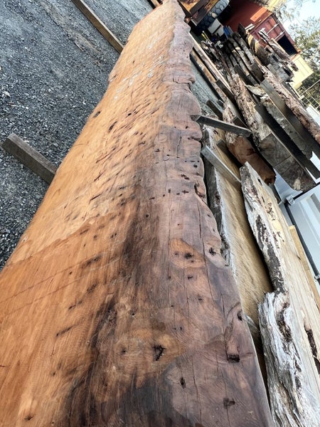 5.16m Solid Ancient Swamp Kauri Slab – Bartop, Hall or Reception Table64216207246338113