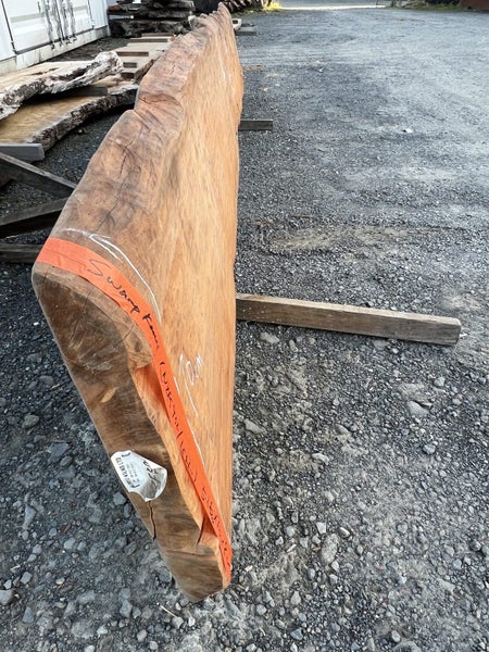 5.16m Solid Ancient Swamp Kauri Slab – Bartop, Hall or Reception Table64216207246338112