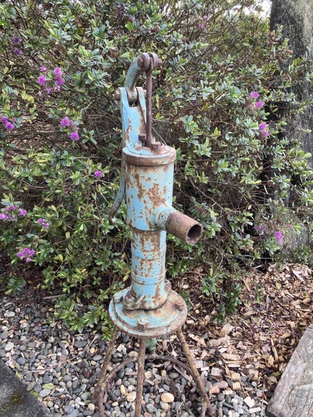 Antique Hand Water Pump Carousel 1