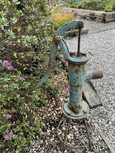 Antique Hand Water Pump Carousel 2