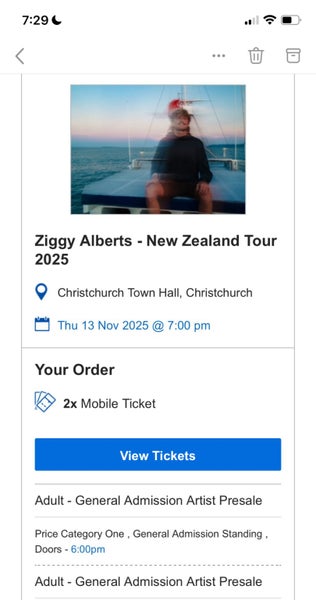 2x Ziggy Albert Tickets Carousel 2