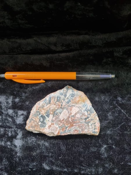 Petrified wood slice Carousel 2