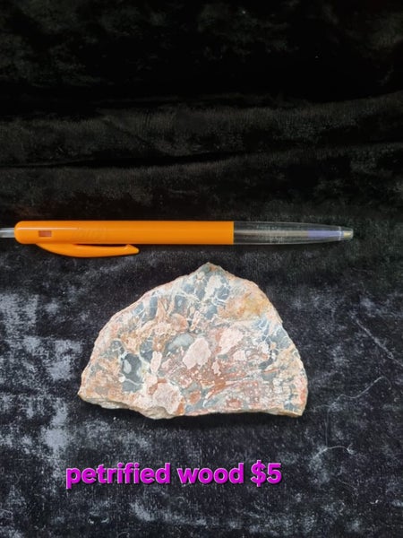 Petrified wood slice Carousel 1