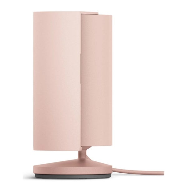 Ring Indoor Camera (2nd Gen) - Blush Carousel 2
