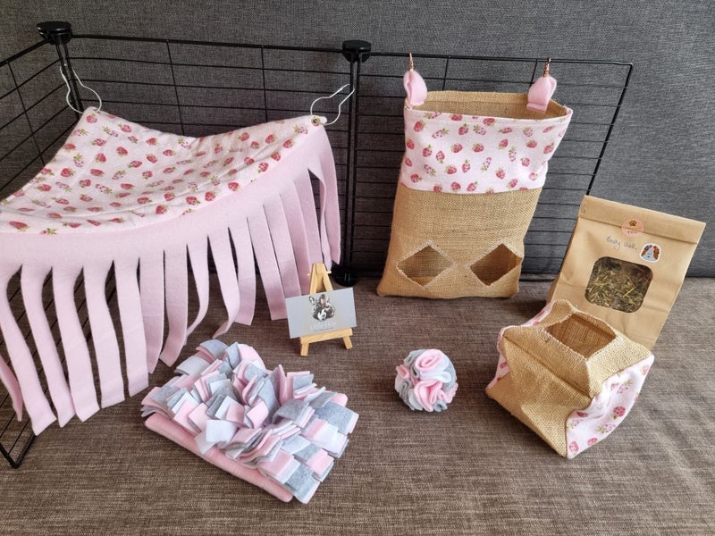 Forage and Play set for guinea pigs, rabbits and small pets Carousel 2